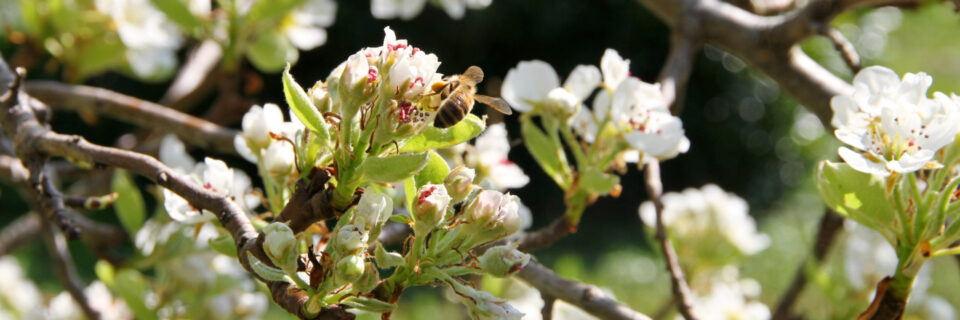 Im Einsatz für die Beschäftigten in der Land- und Forstwirtschaft 