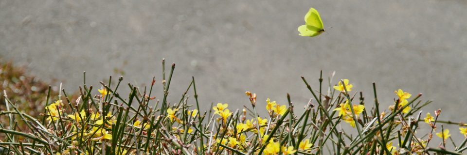 Im Einsatz für die Beschäftigten in der Land- und Forstwirtschaft 