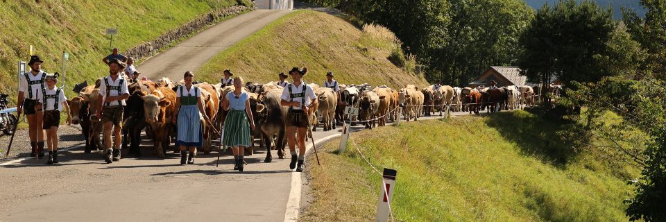 Im Einsatz für die Beschäftigten in der Land- und Forstwirtschaft 