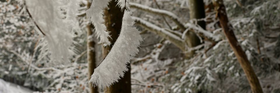 Im Einsatz für die Beschäftigten in der Land- und Forstwirtschaft 