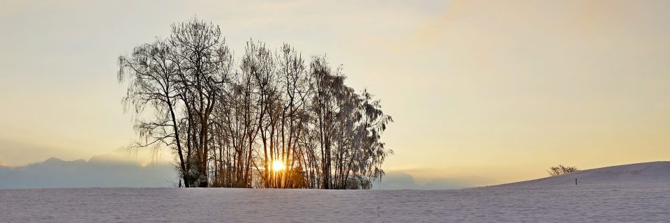 Im Einsatz für die Beschäftigten in der Land- und Forstwirtschaft 