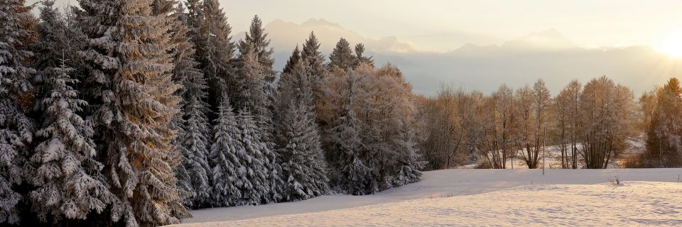 Im Einsatz für die Beschäftigten in der Land- und Forstwirtschaft 