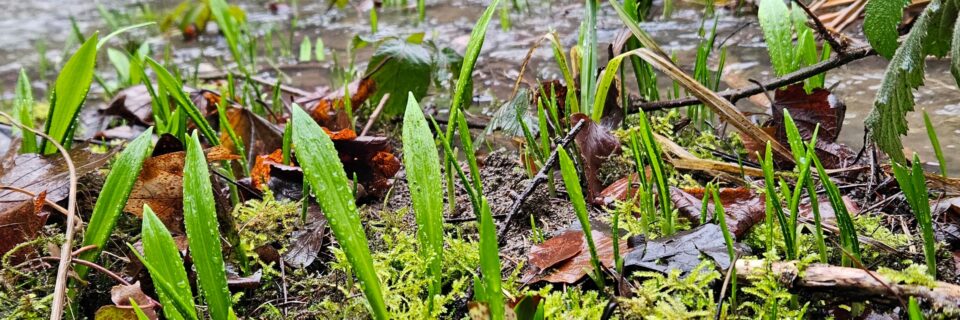 Im Einsatz für die Beschäftigten in der Land- und Forstwirtschaft 