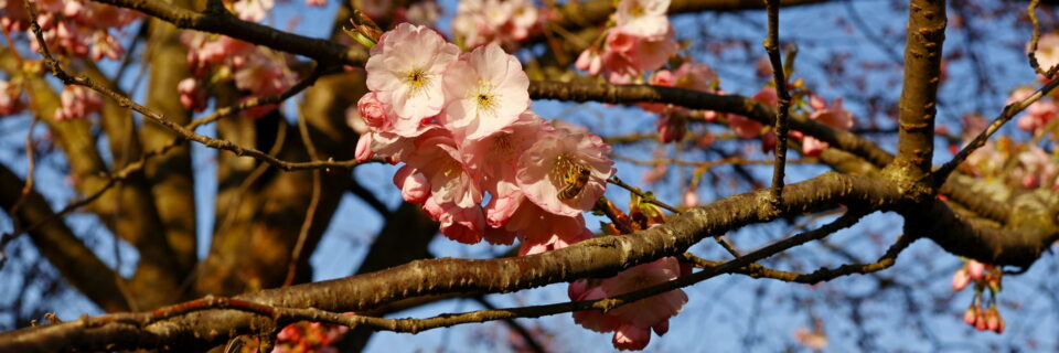 Im Einsatz für die Beschäftigten in der Land- und Forstwirtschaft 